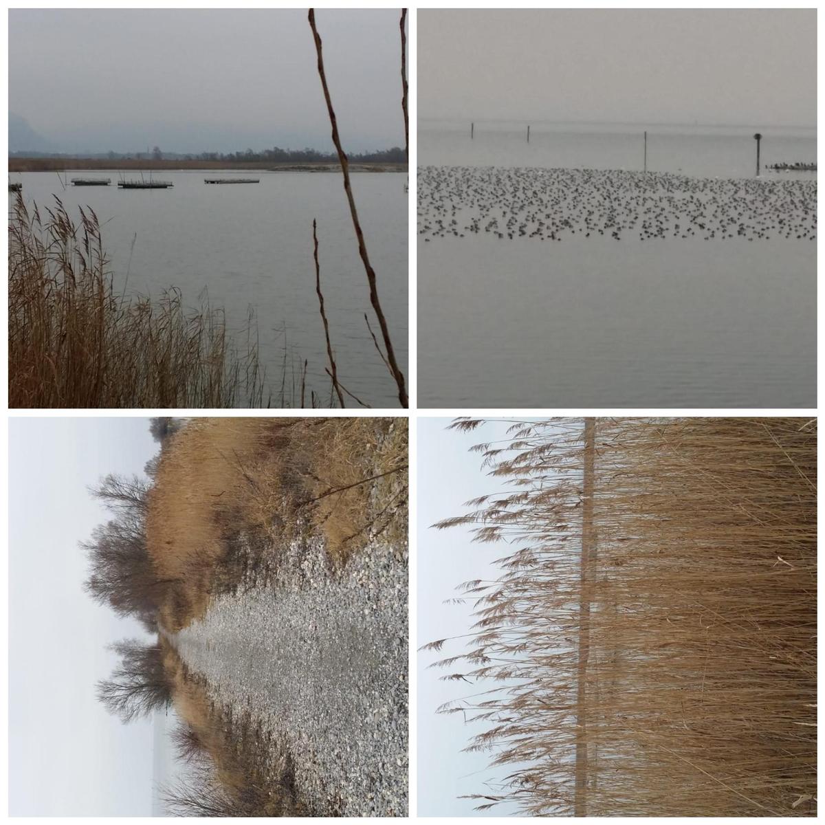 CollageMaker 20190111 215738136
