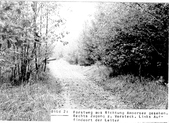 weingarten81-9