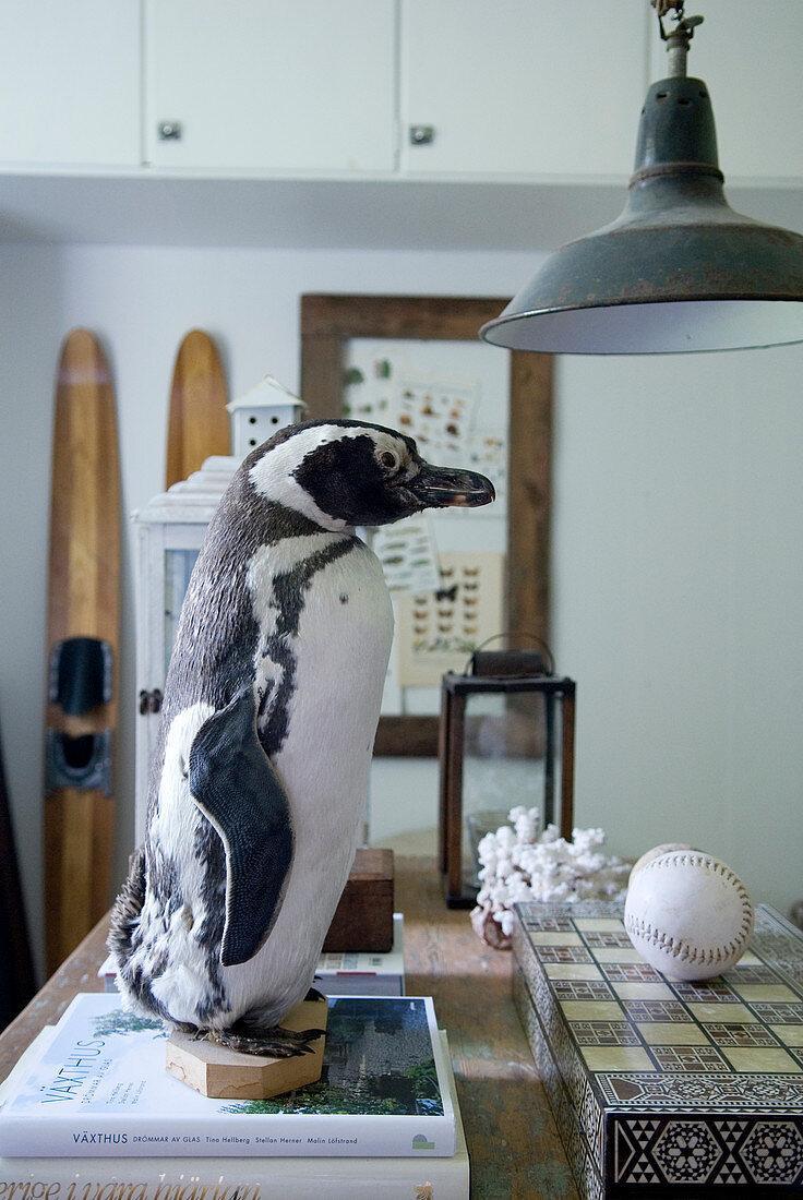 11057214-Ausgestopfter-Pinguin-auf-Buech