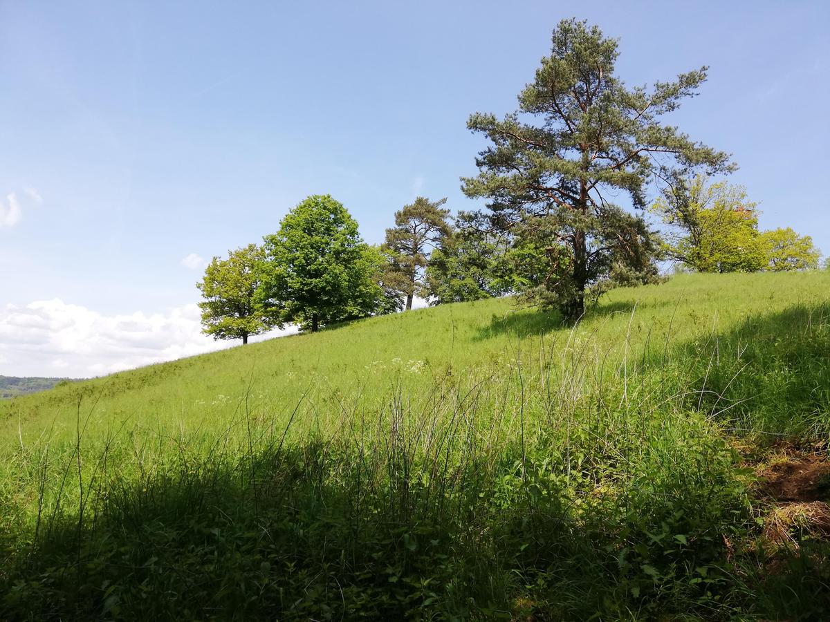IMG 20190518 134009