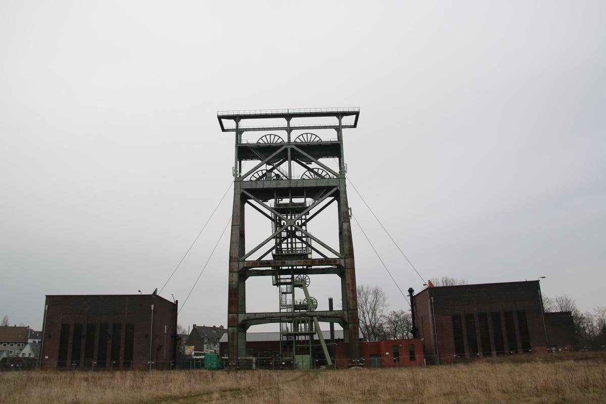 IMG 9531