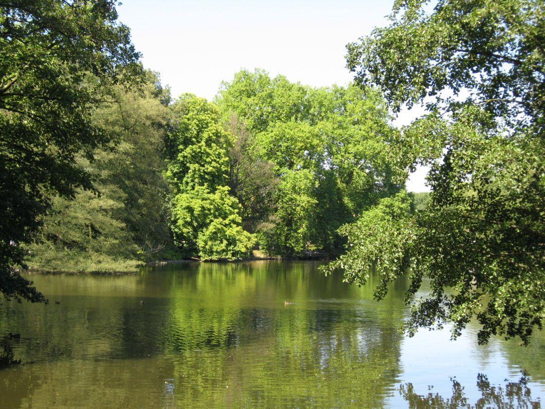 me RompTeich240809-1