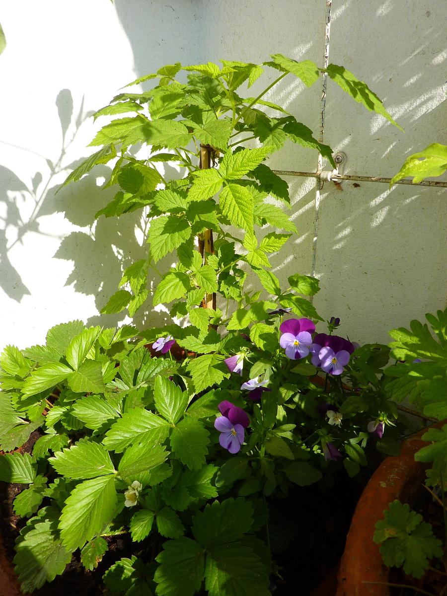 P1070024