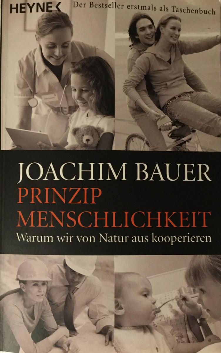 Prinzip Menschlichkeit