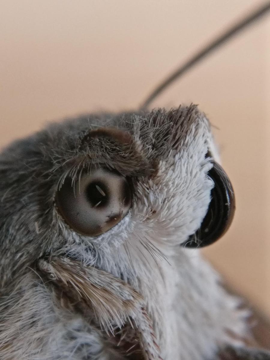 IMG 20180708 085725