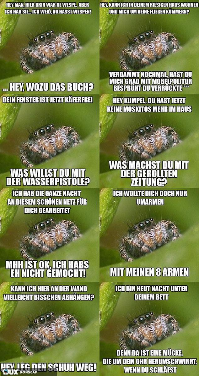 247242 b