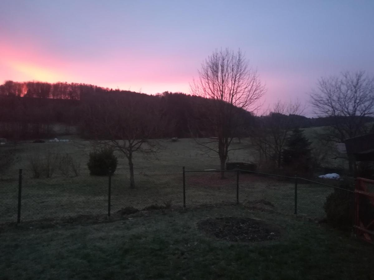 IMG 20200213 073244