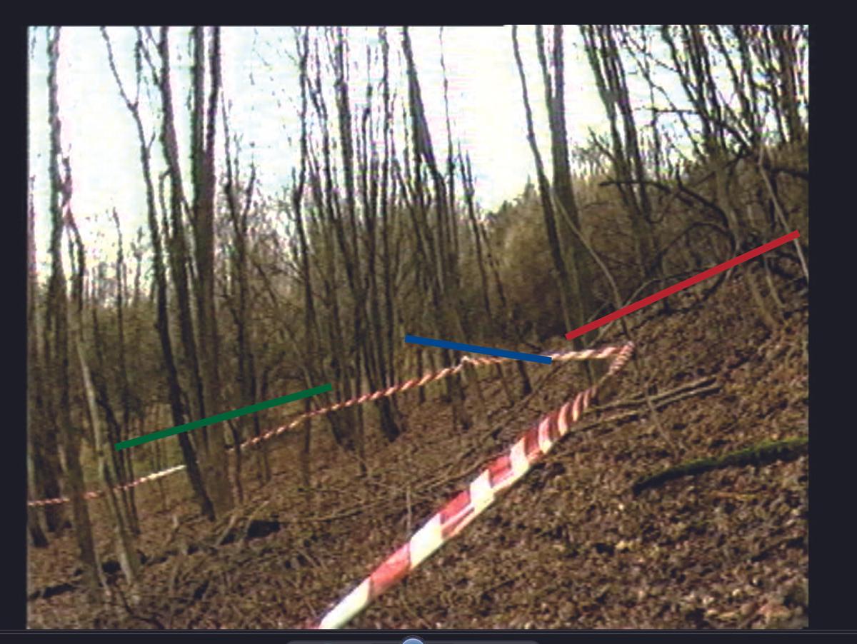 Waldweg