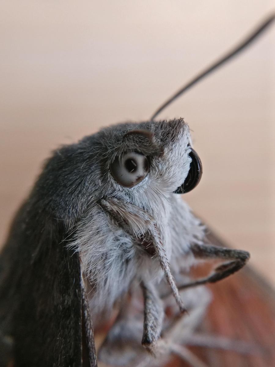 IMG 20180708 085709