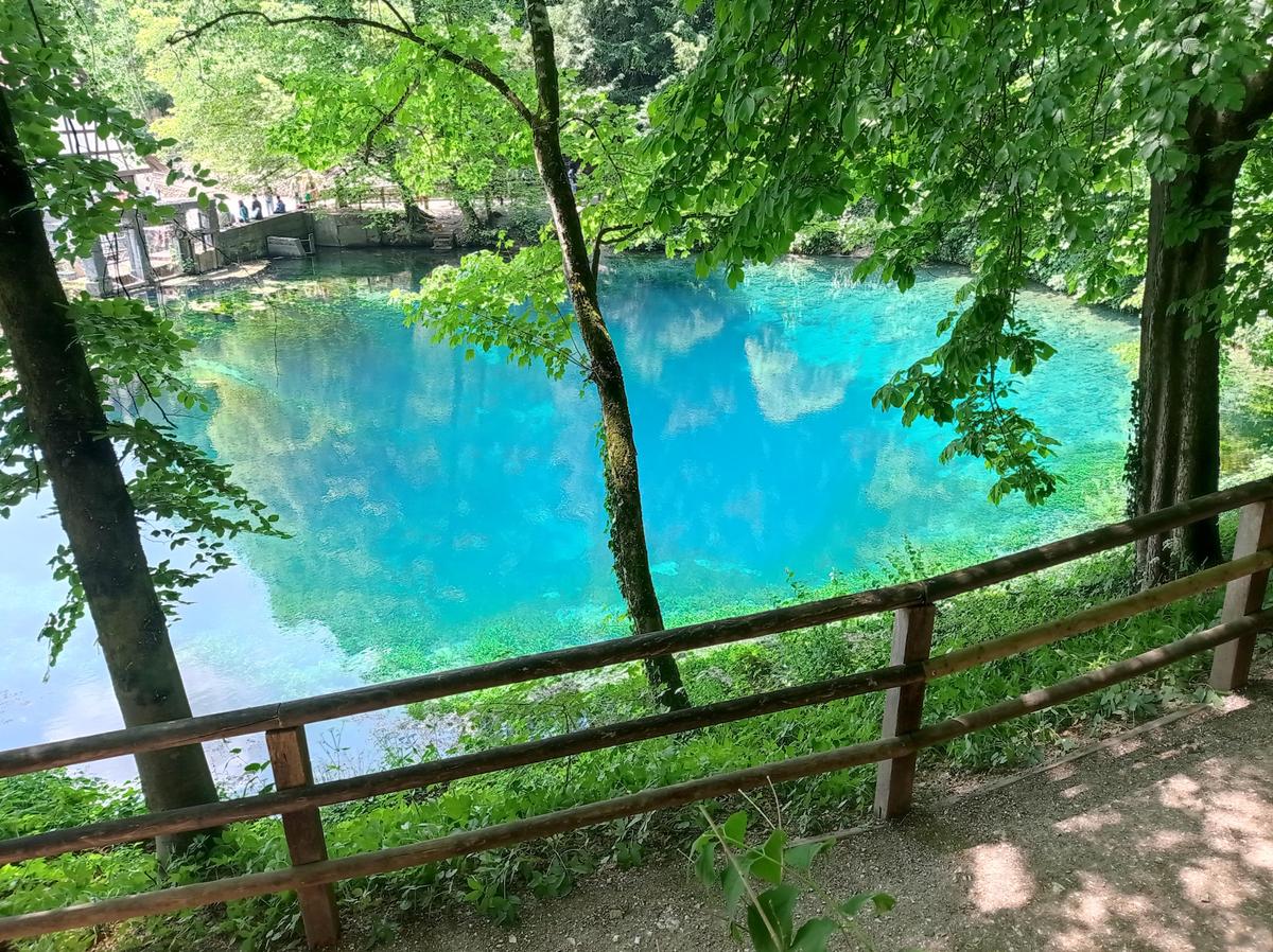 IMG 20230606 130131