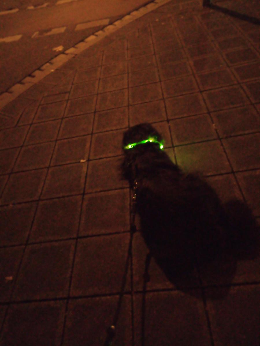 IMG 20211016 213426