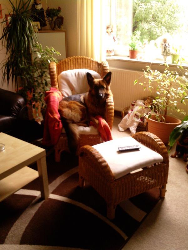 foto0487tw