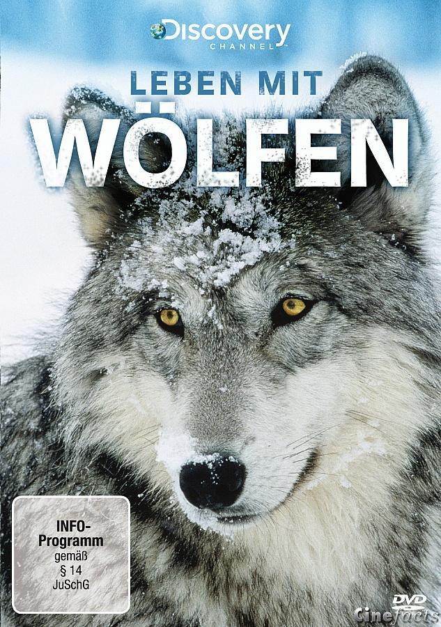 leben mit woelfen bild 1