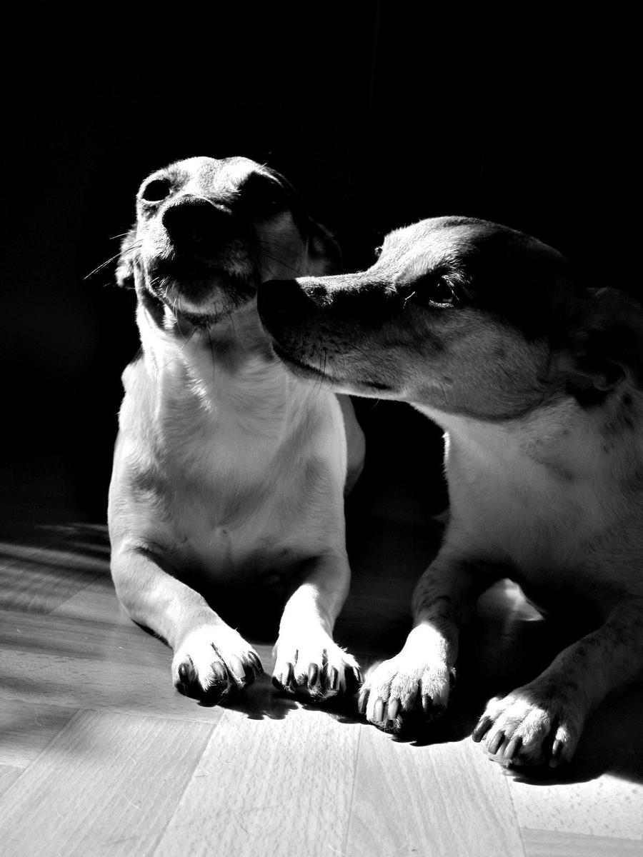 bw8heih2jpeb5zufc