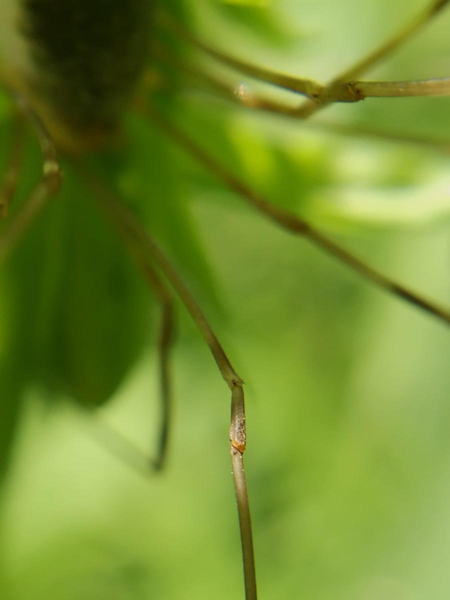 IMG 20180708 120034