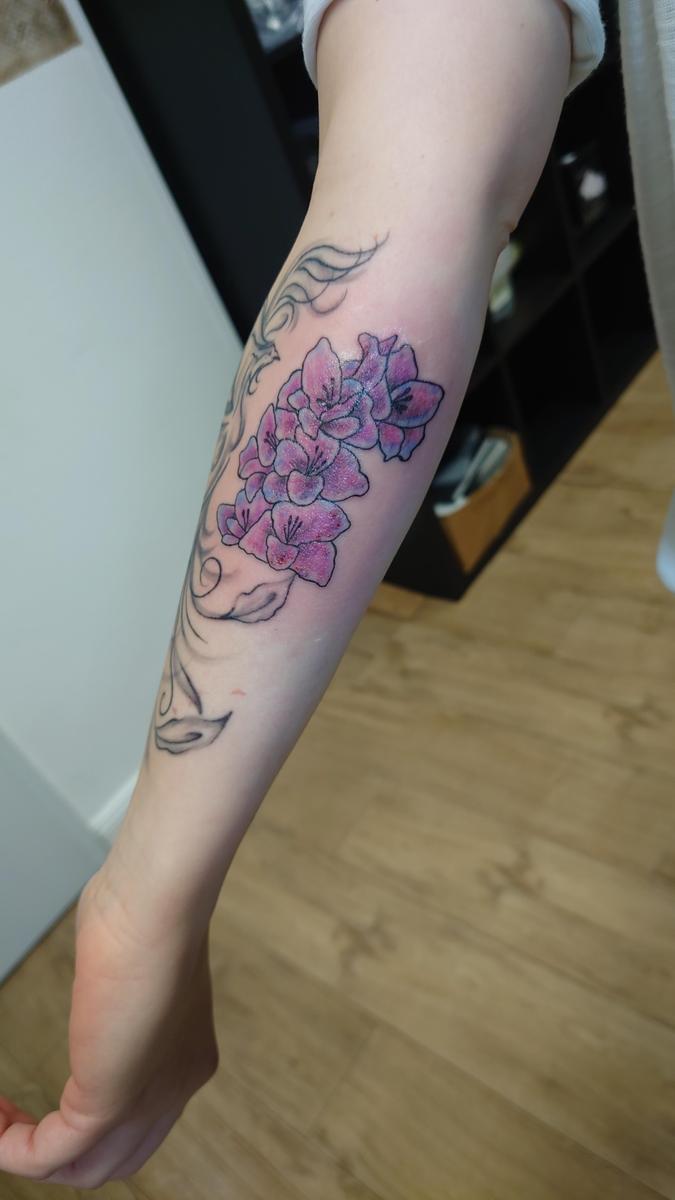 DSC 2782