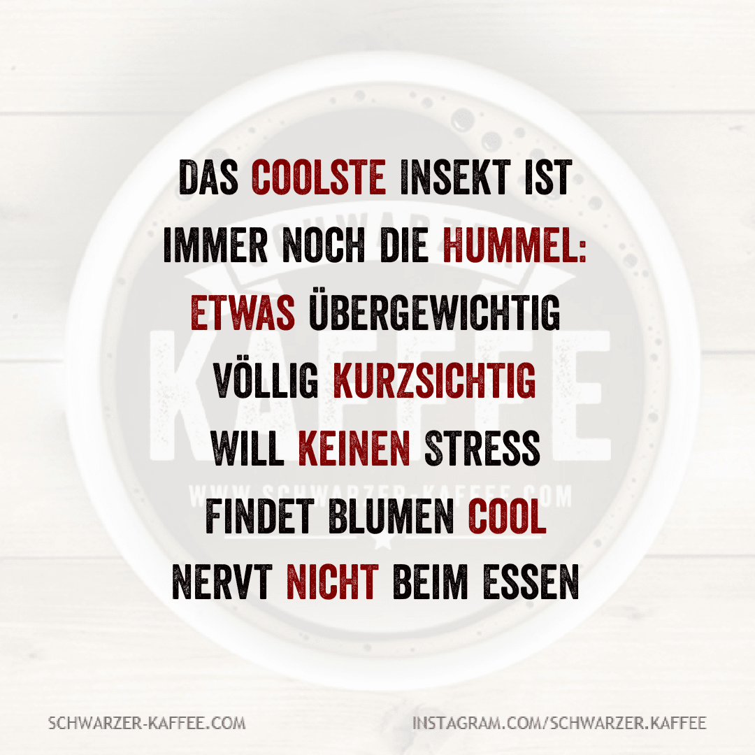 Quotes Creator 20210802 232107