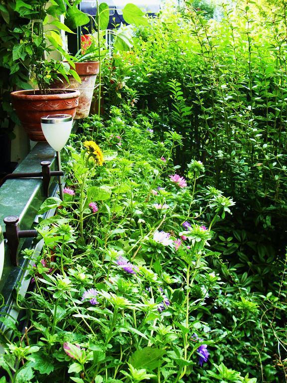 df706a blumenkasten 1