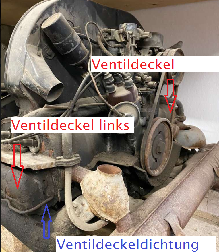 Motor