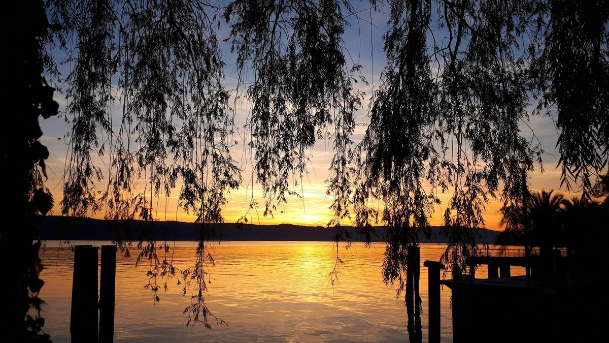 Am Bodensee 4