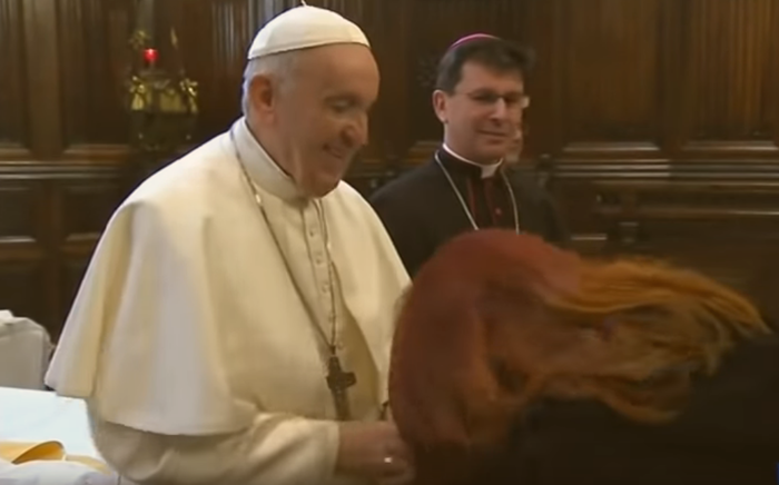 csm PapstFranziskusScreenshotYouTube 0a8