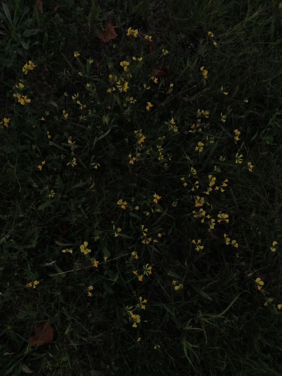 IMG 20230726 190948