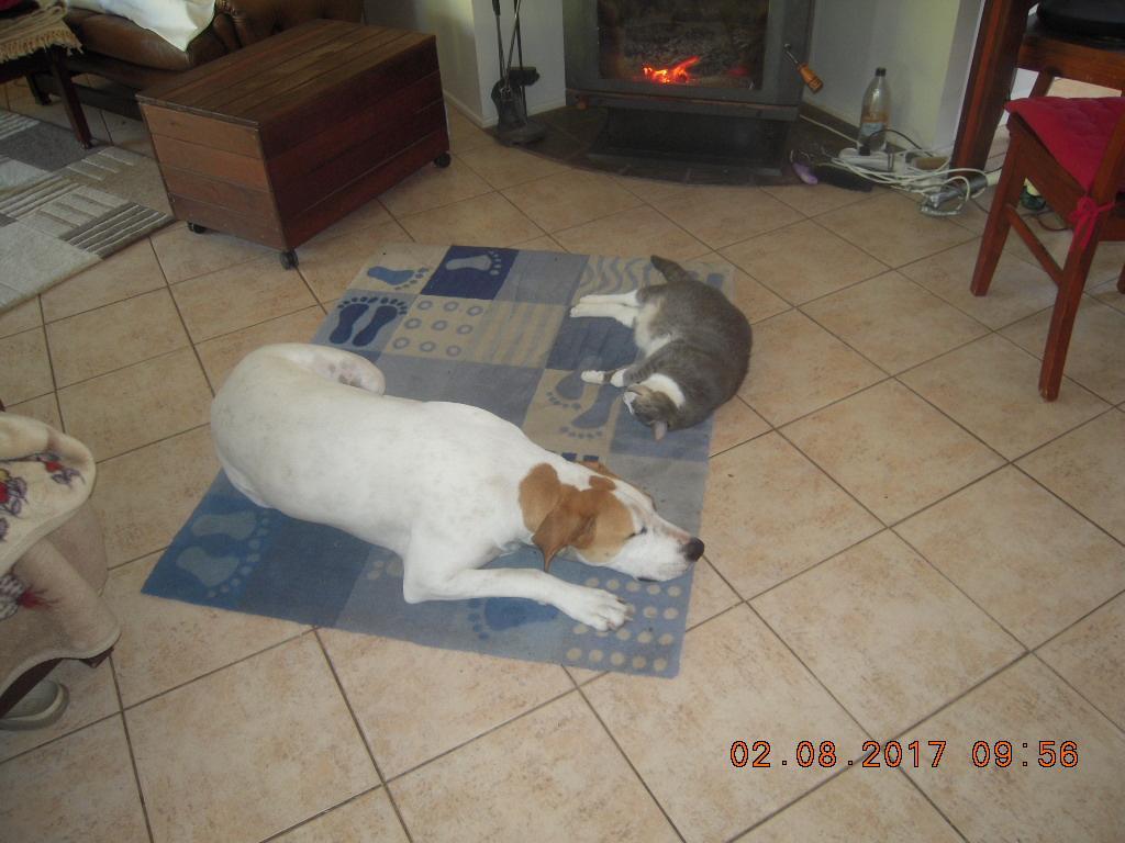 DSCN1207