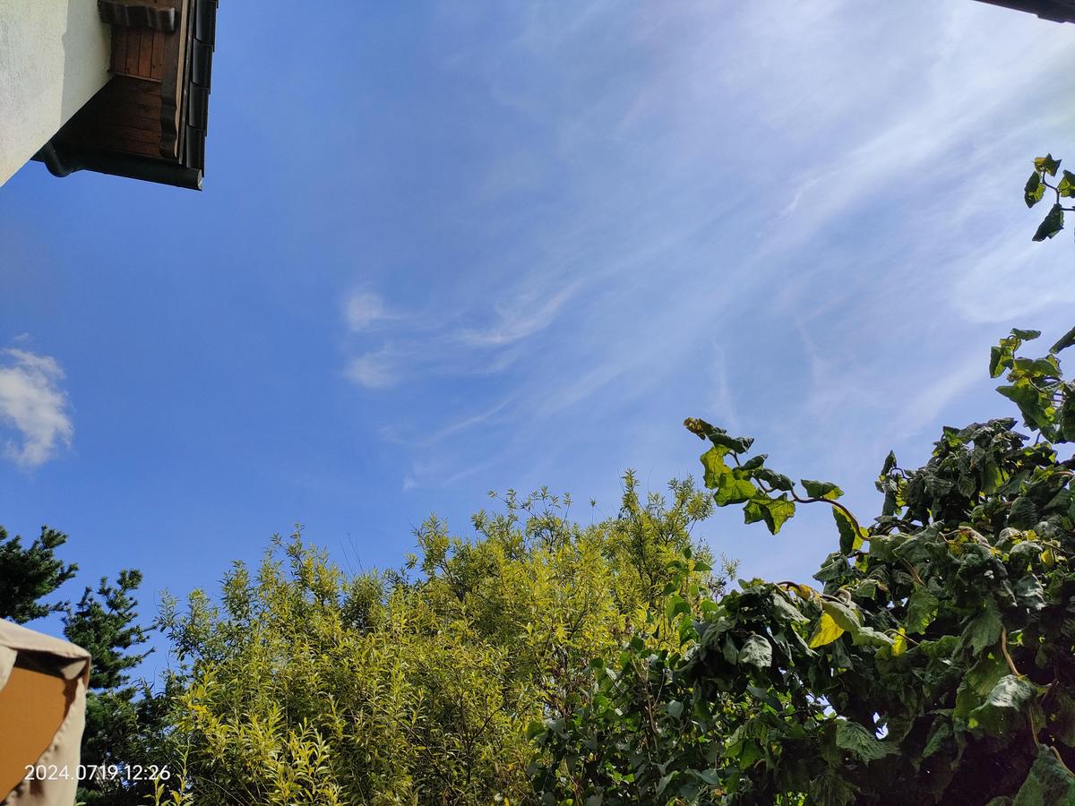 IMG20240719122653