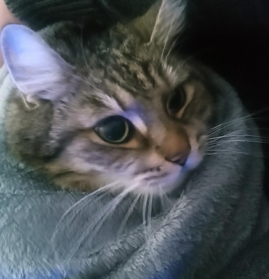 CYMERA 20200910 165246