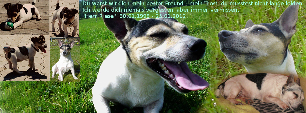 ohne weitere Worte