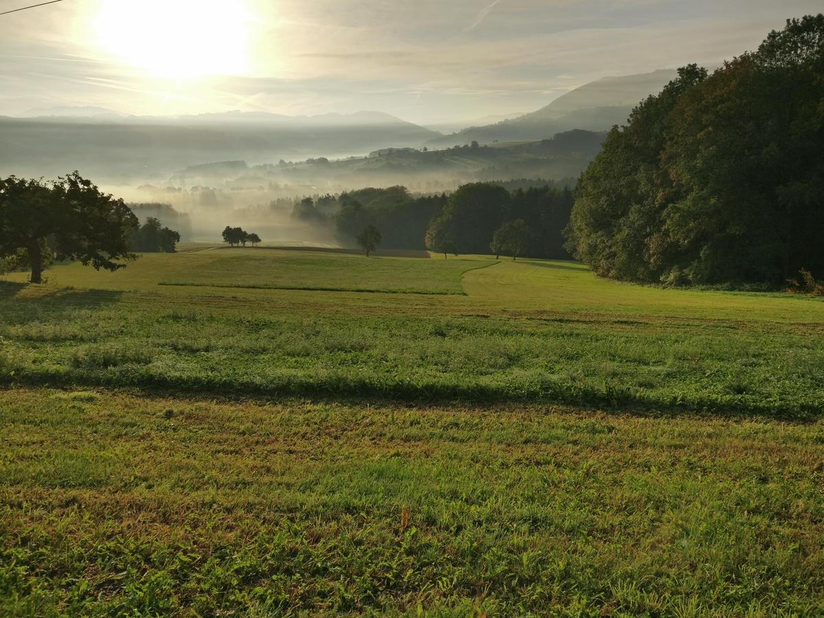 IMG 20181006 075954