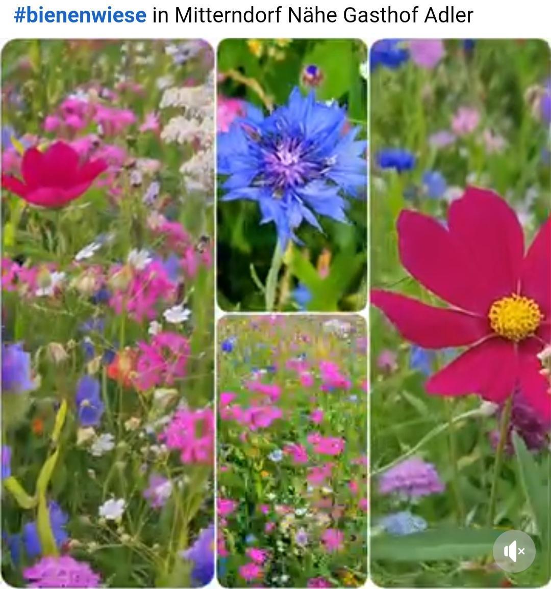 Screenshot 20240713-082805 Samsung Inter