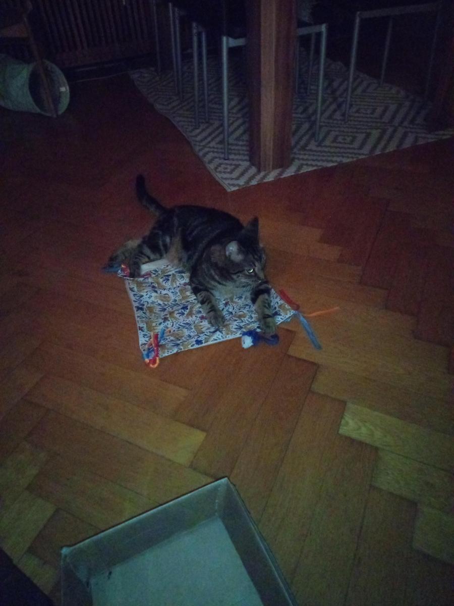 IMG 20240725 221508 760