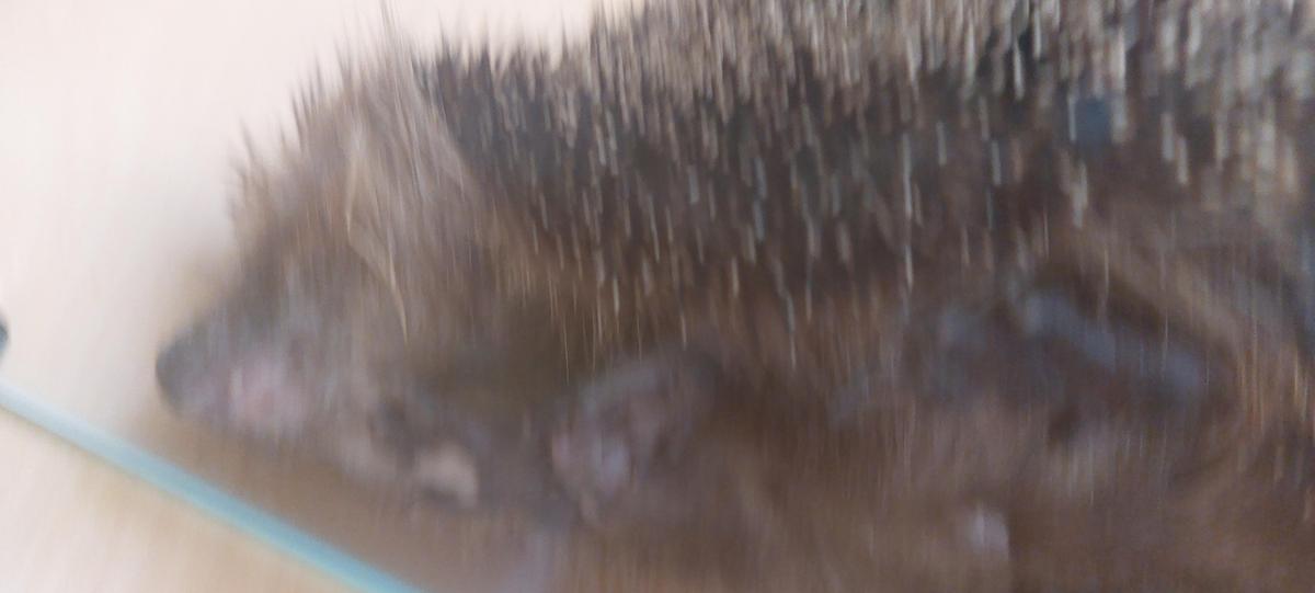 20230813 135348 004