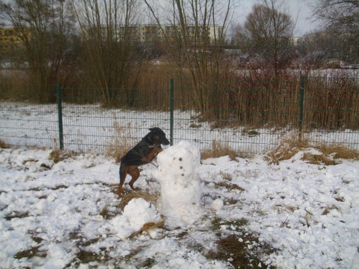 Schneeemann 2