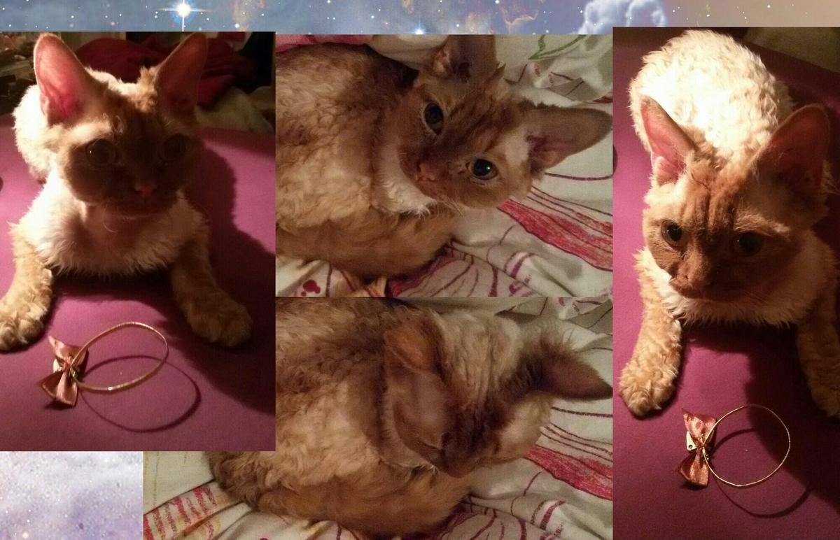 PicsArt 071511.00.20