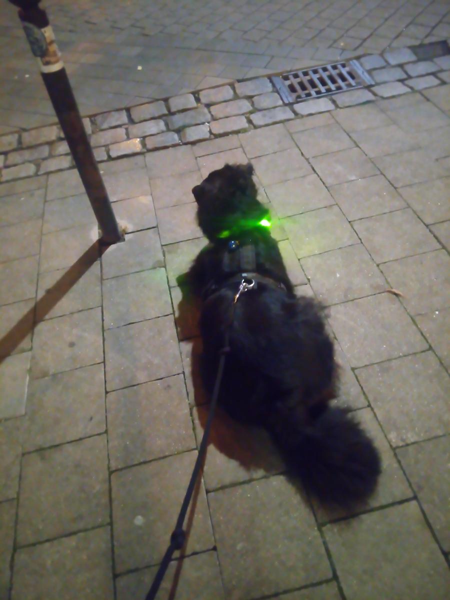 IMG 20211015 205555 1