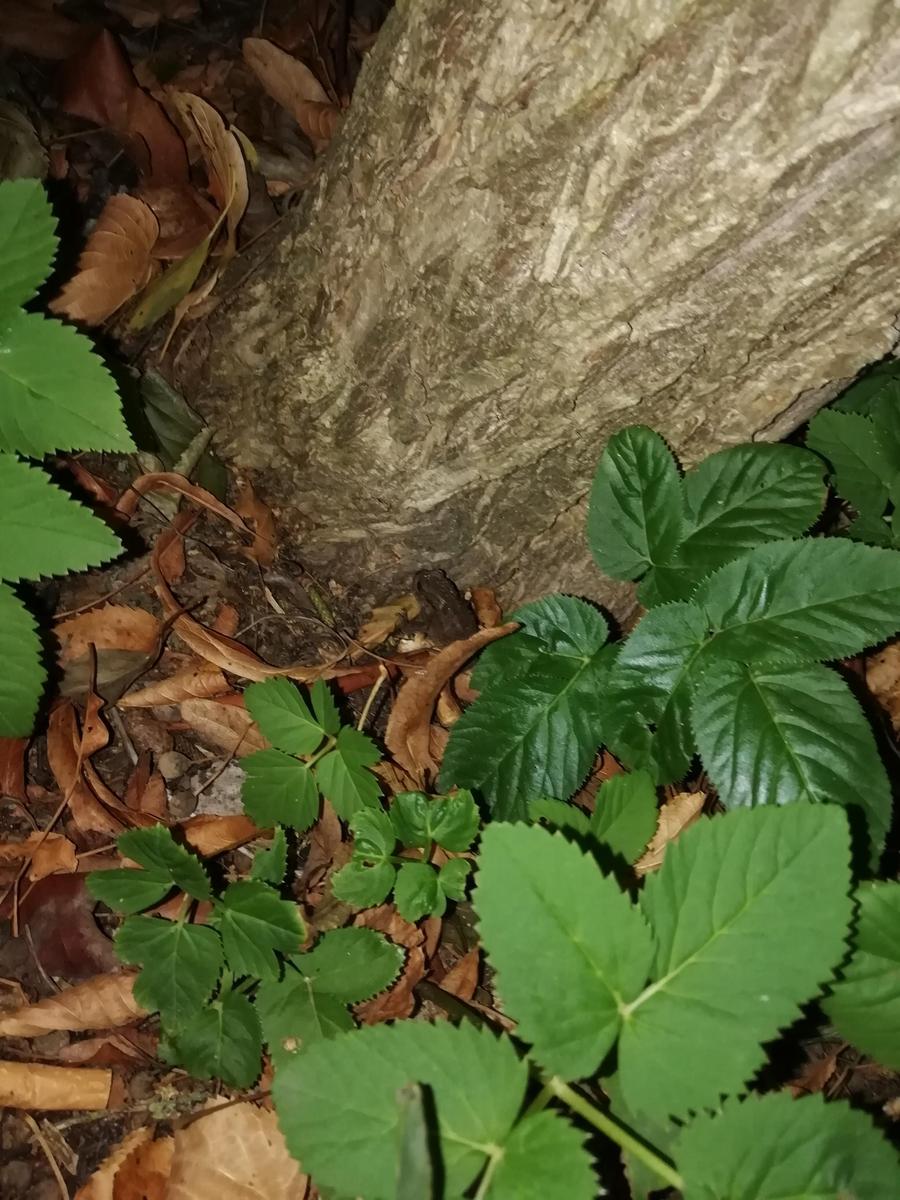 IMG 20190924 192618
