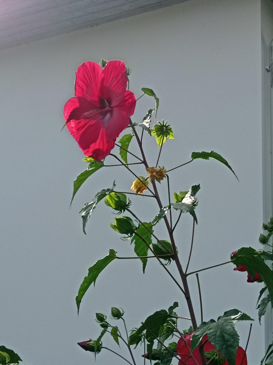 IMG 20230919 140505