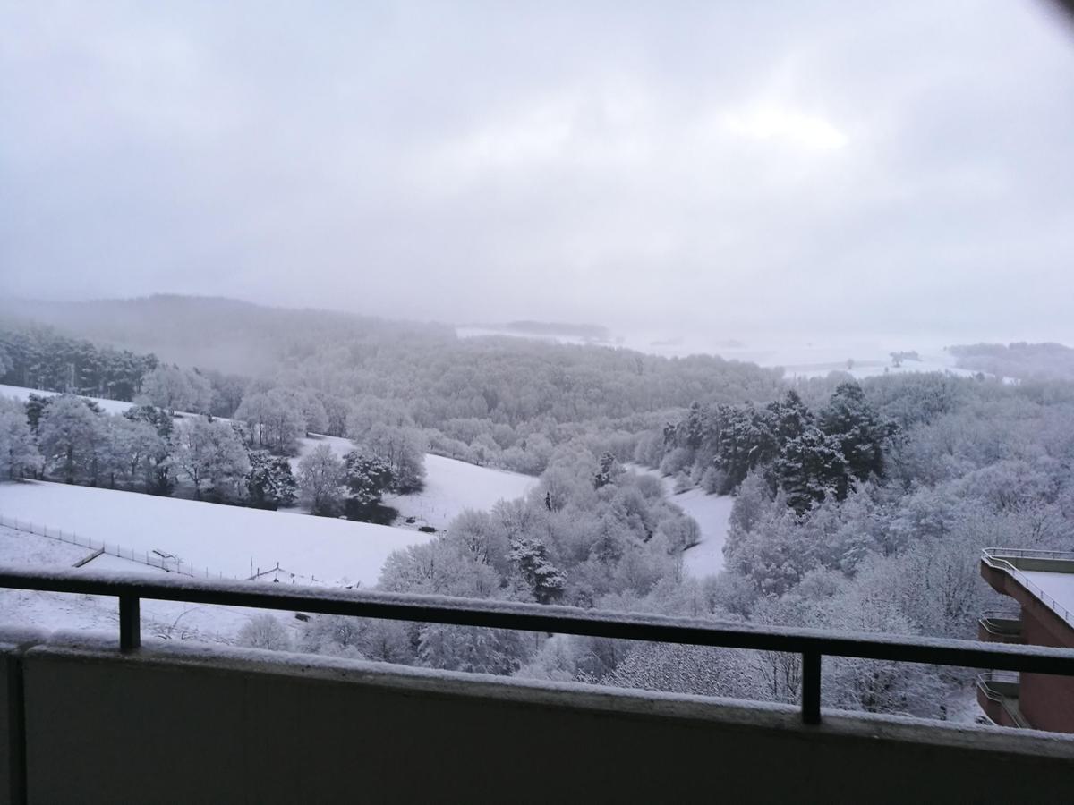 IMG 20210108 081825