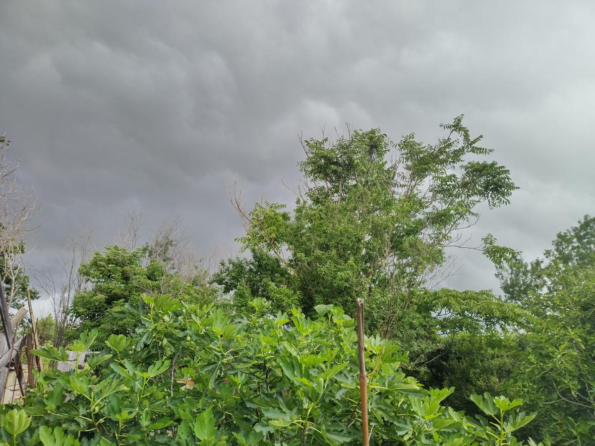 IMG 20240606 175854 HDR