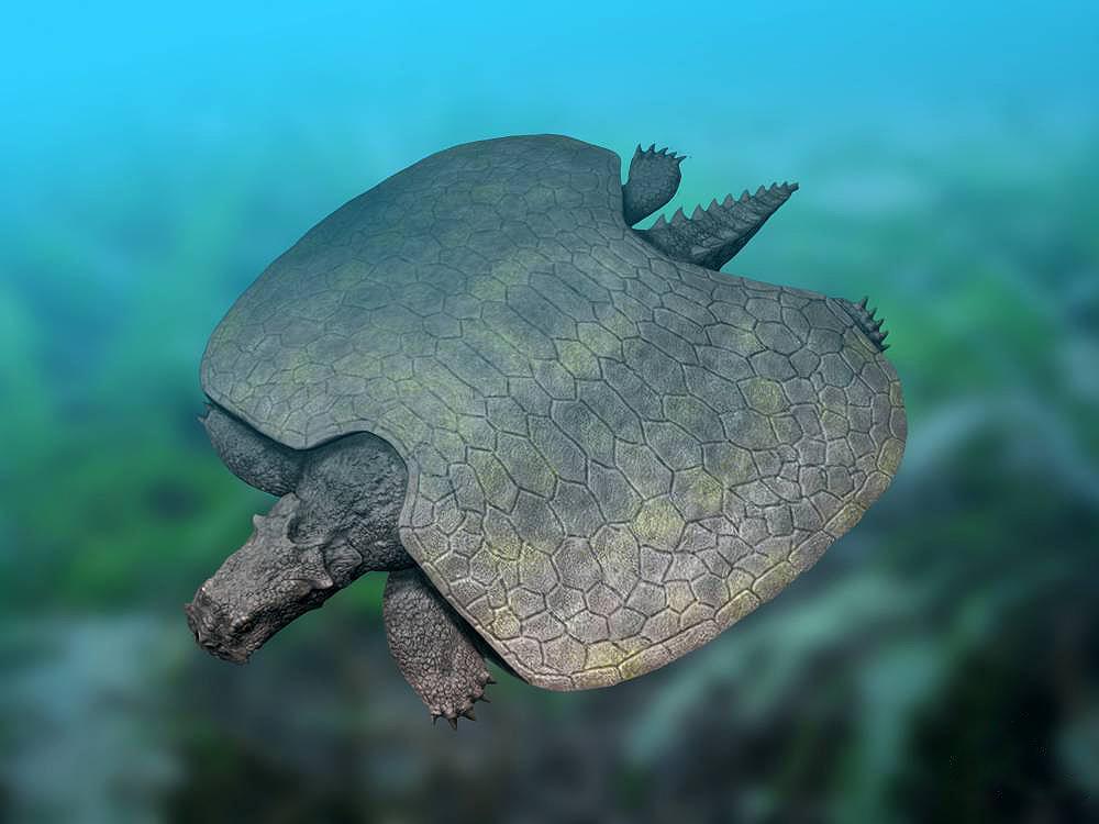 Henodus chelyops life restoration