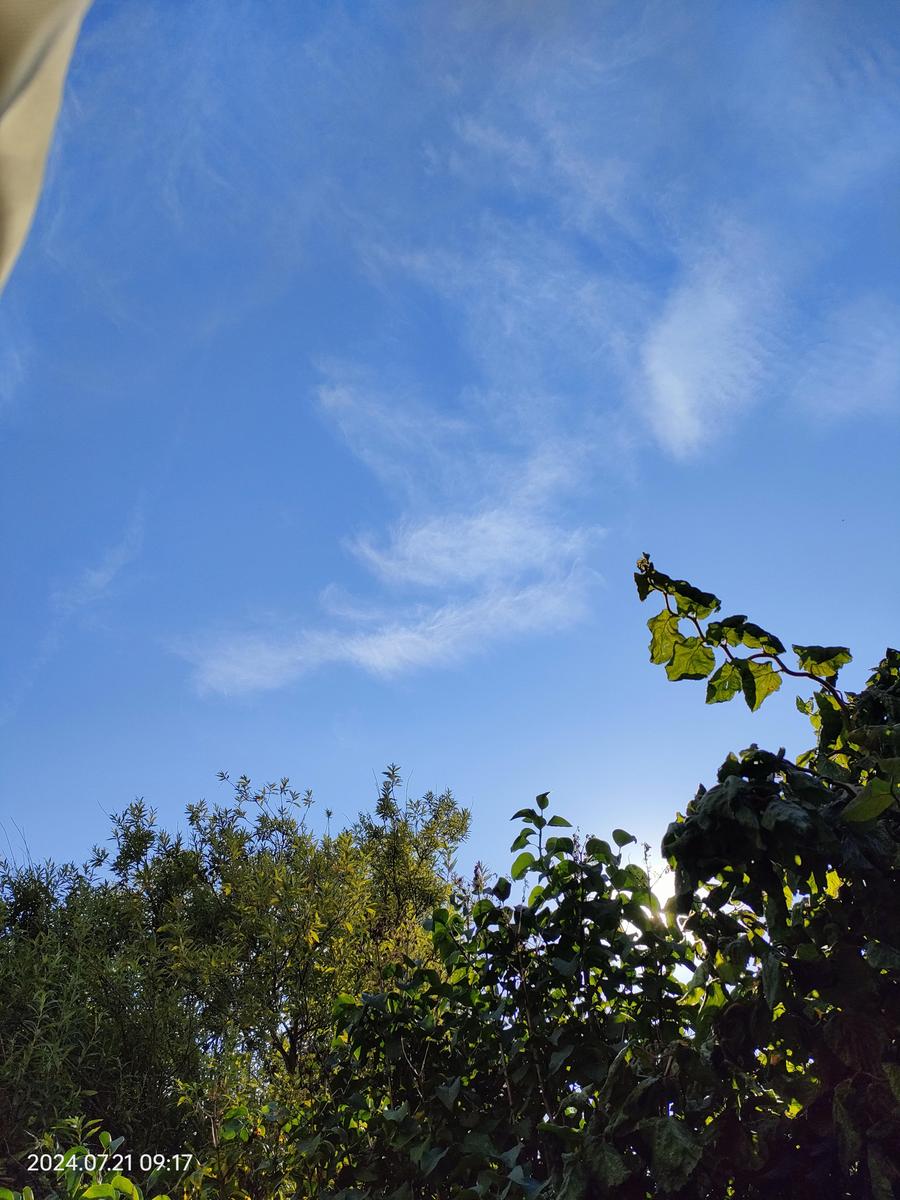 IMG20240721091757