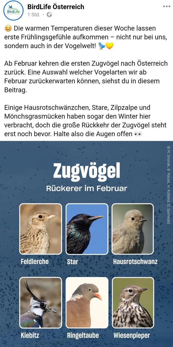 Screenshot 20250131-194839 Samsung Inter