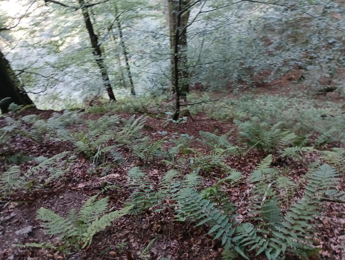 IMG 20230916 134918