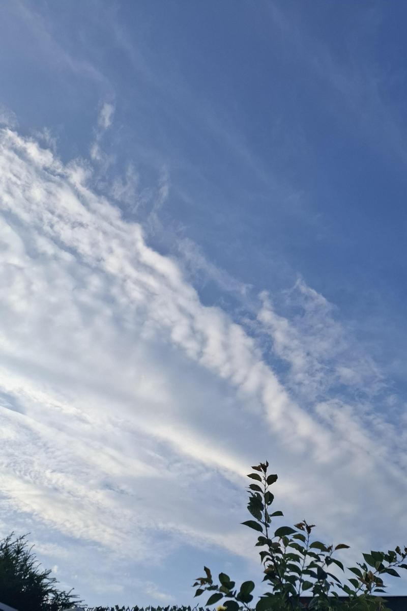 20240721 071355