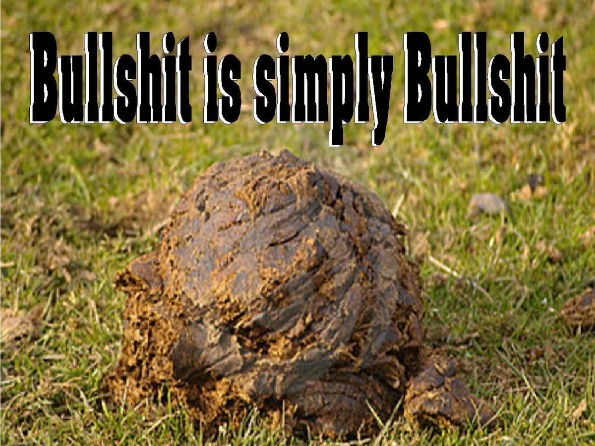 bullshit-4a