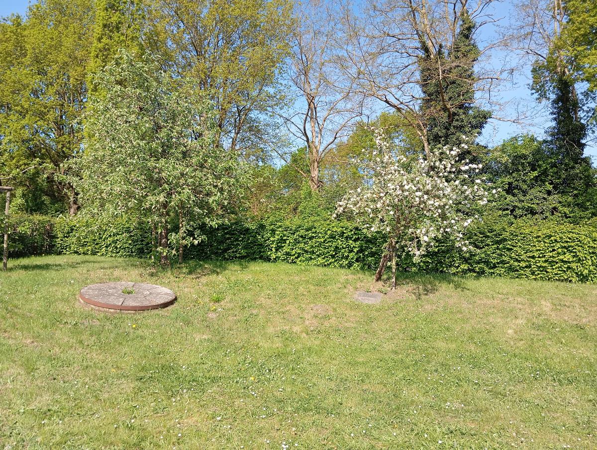 IMG 20250429 103415