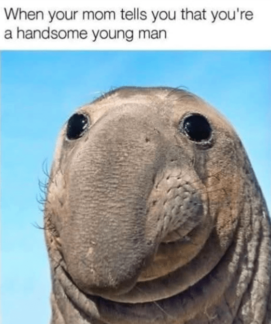 mom-tells-handsome-young-man