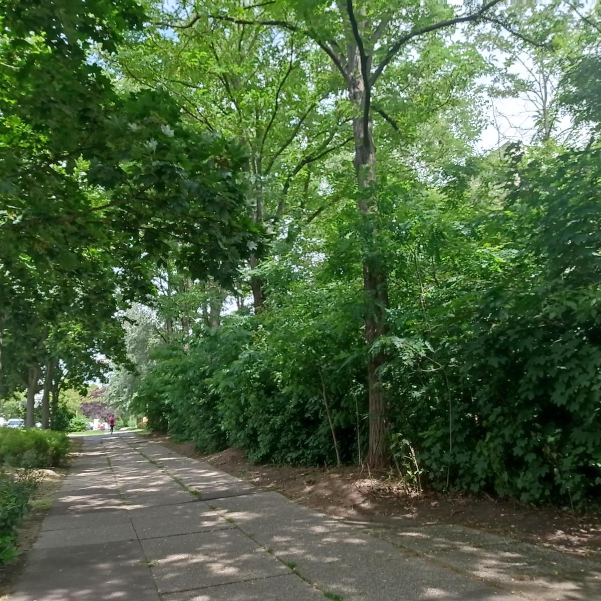 IMG 20230705 125041
